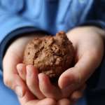 Muffins au chocolat et pépites de cacao #vegan