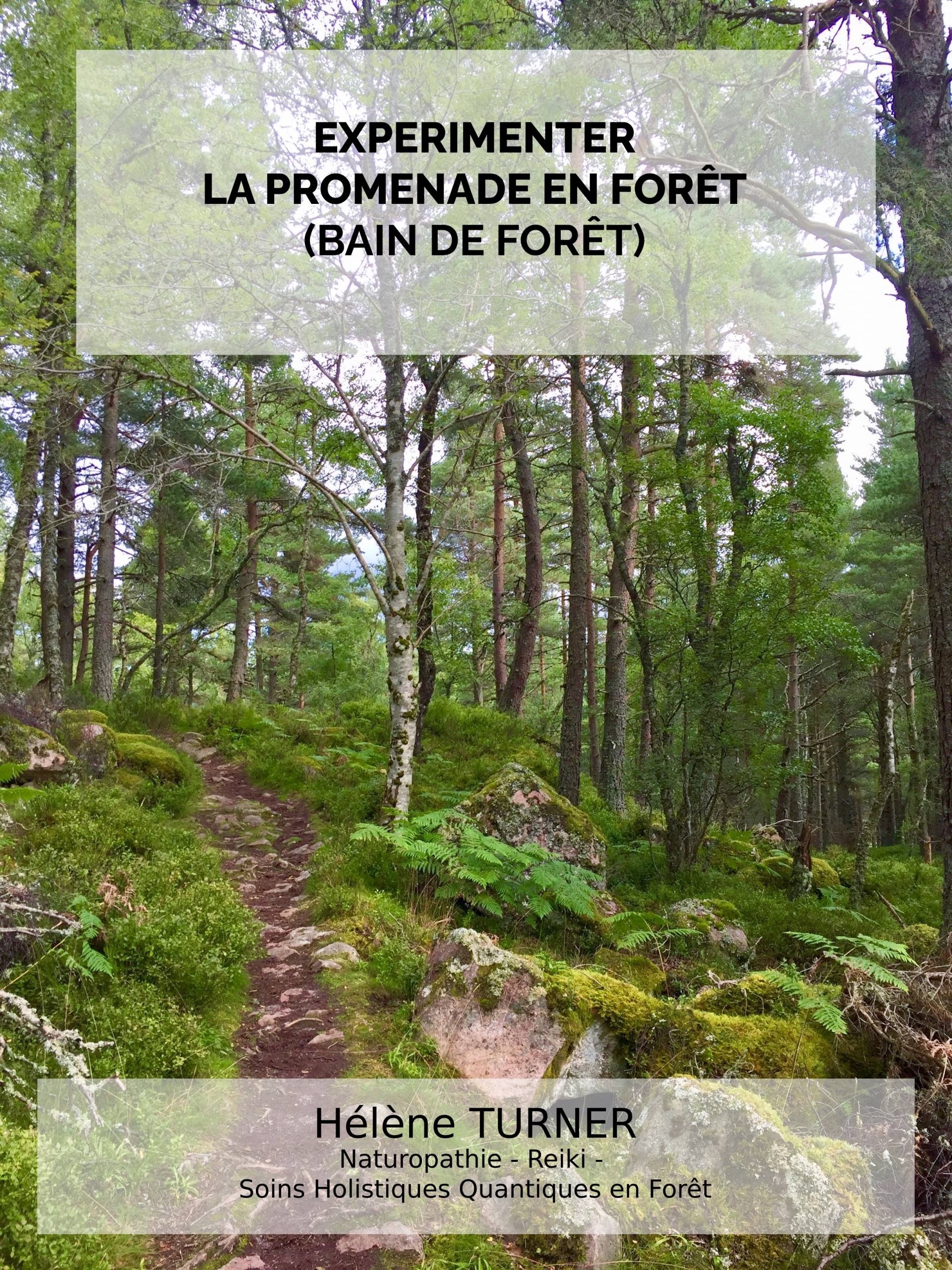 Hélène TURNER - Naturopathie - Reiki - Soins holistiques et quantiques en forêt : Que diriez-vous d’expérimenter la promenade en forêt ? La forêt est un de mes lieux préférés pour me ressourcer et faire des soins.